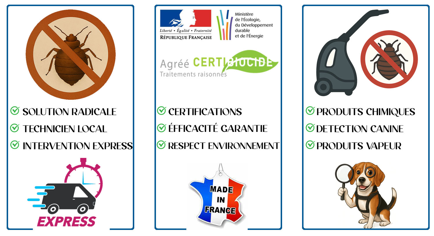 Punaises de Lit Garches