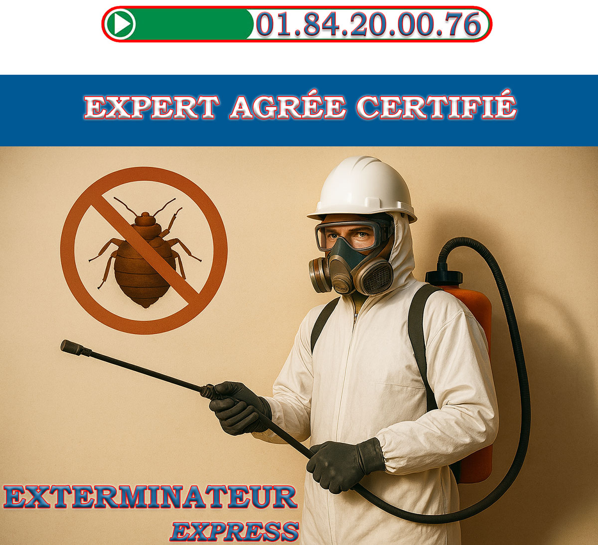 Punaises de Lit Garches